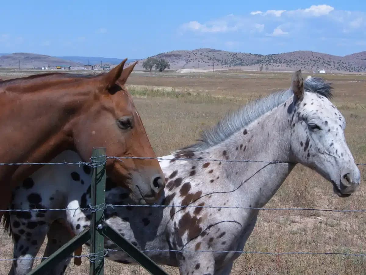 Silver Sands Recovery - Thumbnail 10