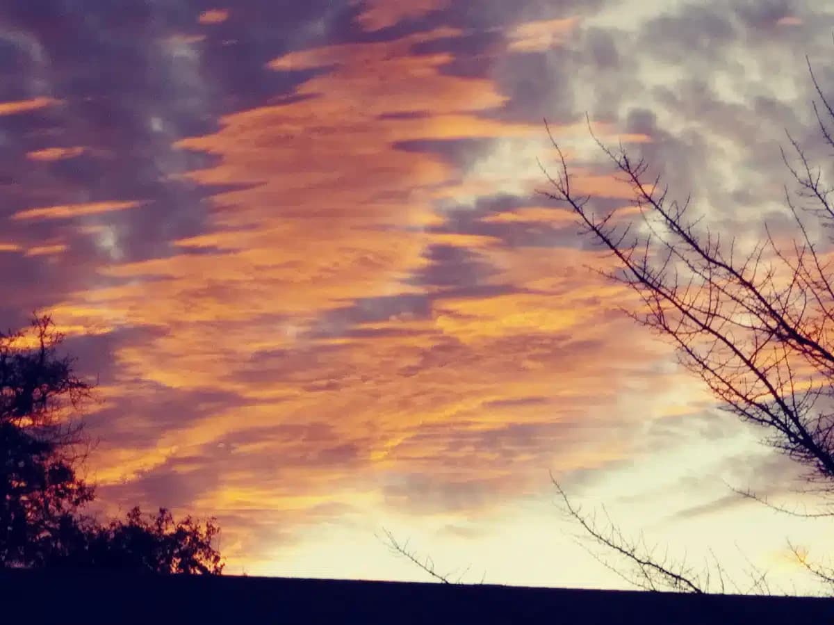 Skyway House Residential - Thumbnail 10