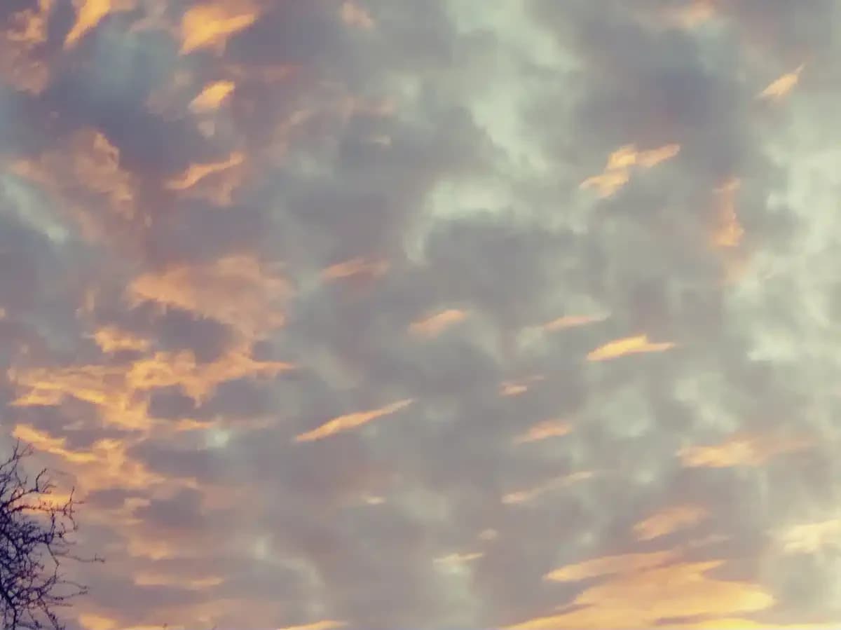 Skyway House Residential - Thumbnail 8