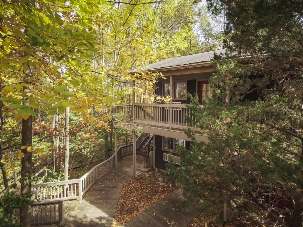 Skywood Recovery - Thumbnail 7