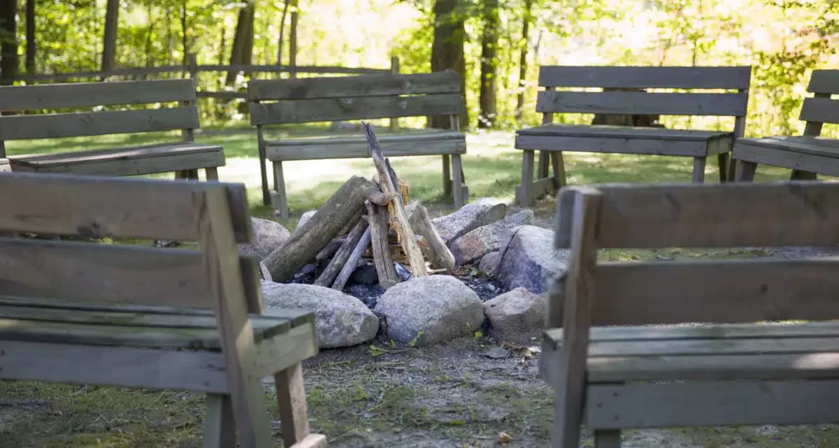 Skywood Recovery - Thumbnail 8