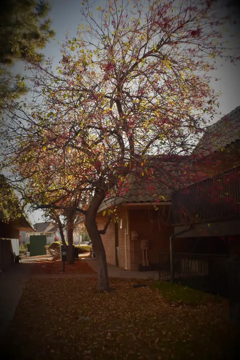 Solace Counseling Services Inc - Thumbnail 3