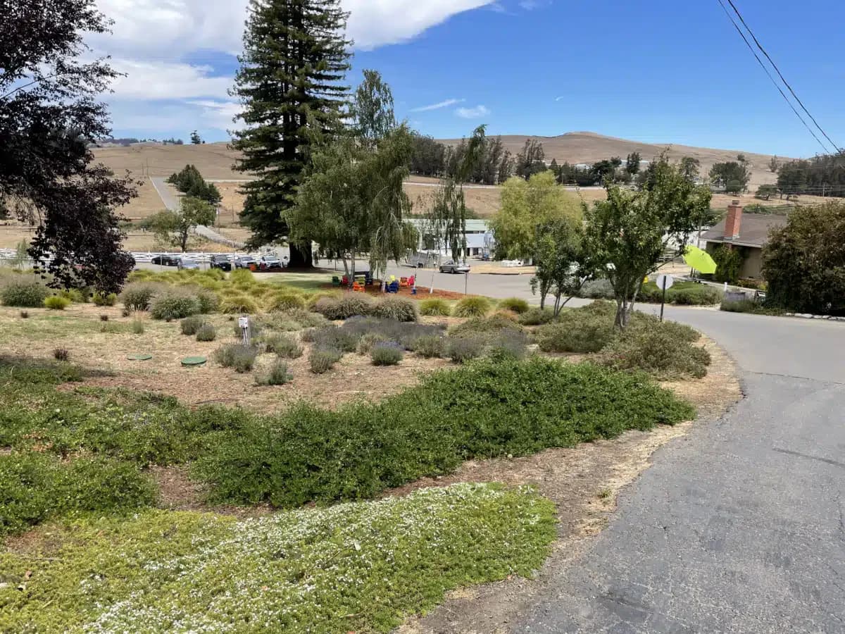 Sonoma Recovery Services LLC - Thumbnail 10