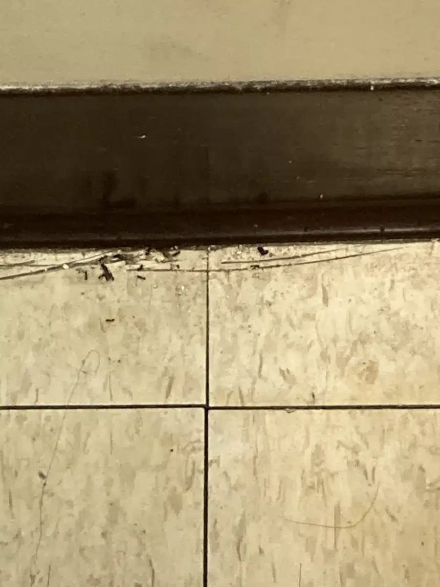 South Shore Hospital - Thumbnail 8