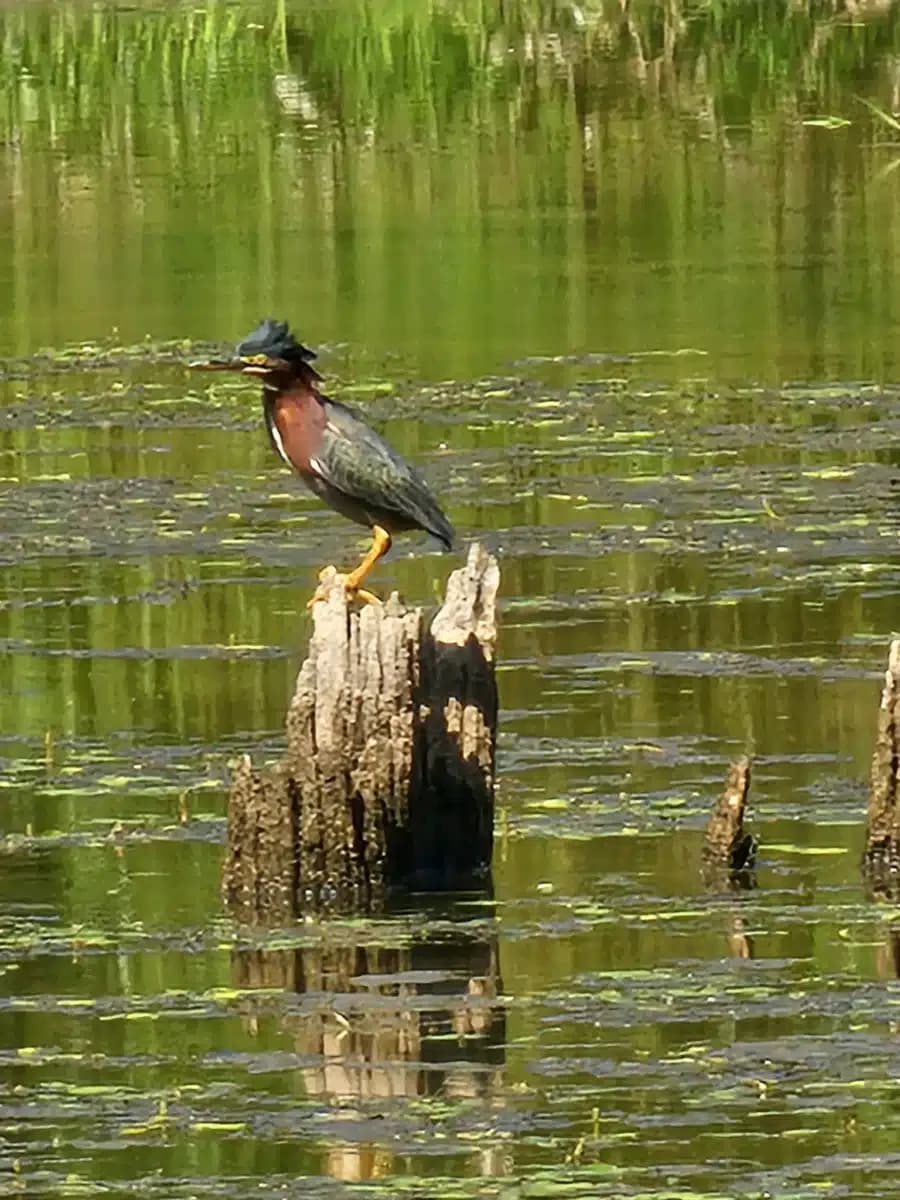 SpiritLife Inc - Thumbnail 5