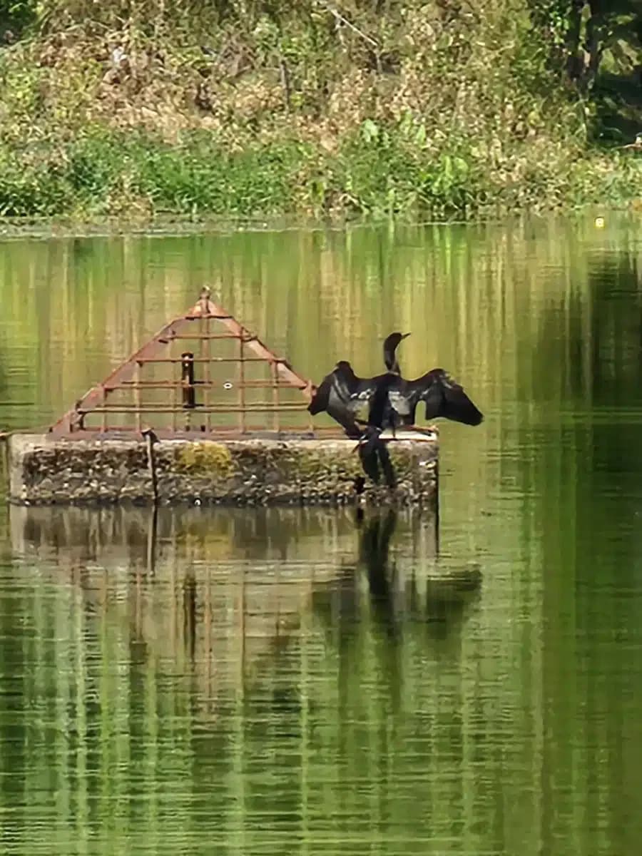 SpiritLife Inc - Thumbnail 6