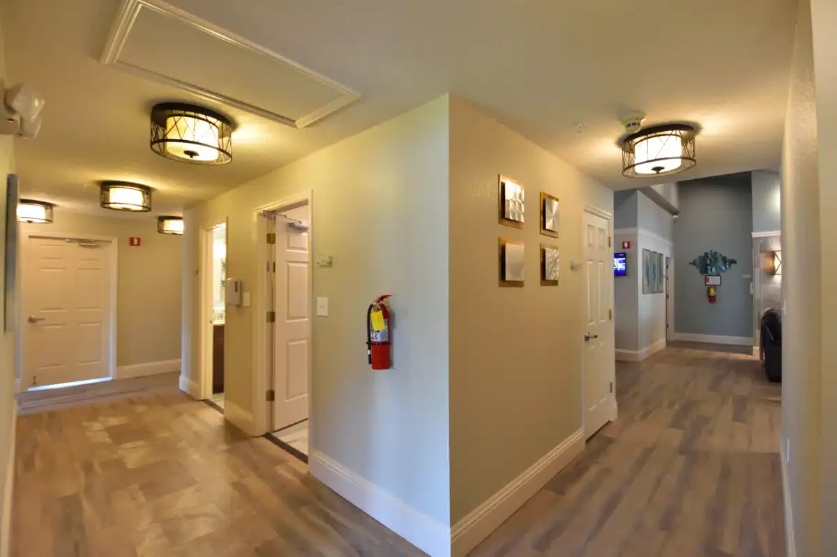 Spring Gardens Recovery - Thumbnail 4