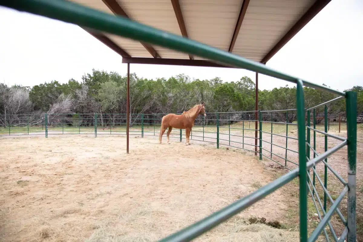 Starlite Recovery Center - Thumbnail 7