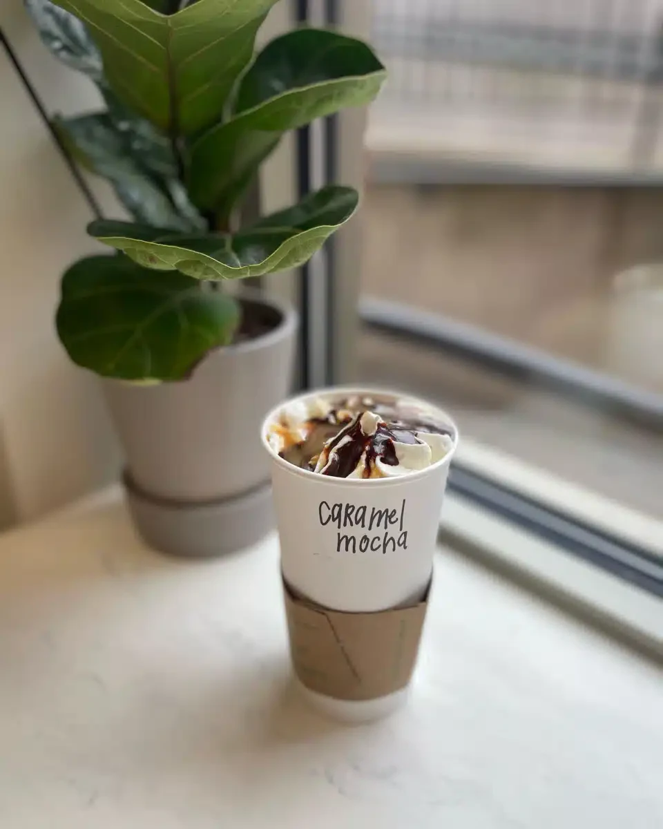 Stella Maris - Thumbnail 2