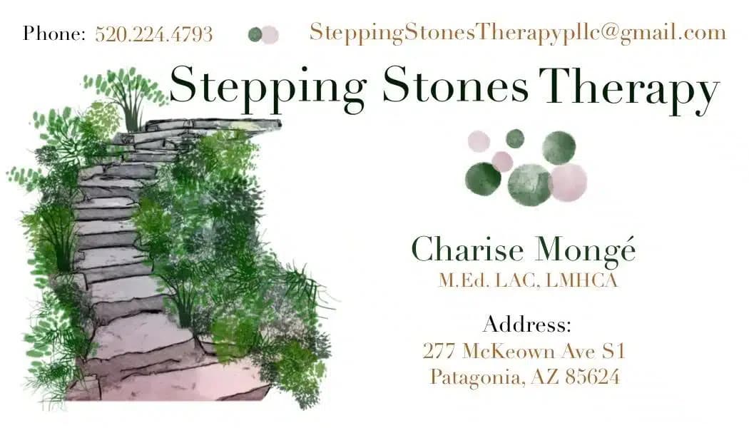 Stepping Stone Behav Hlth Services LLC - Thumbnail 3
