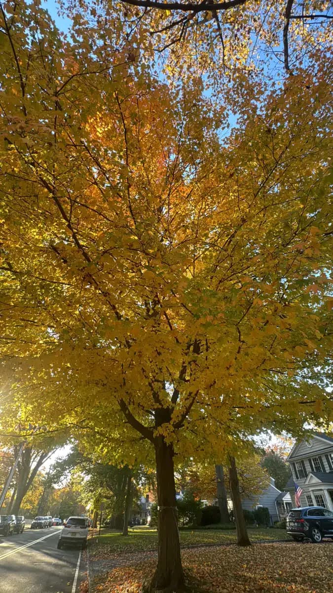 Summit Oaks Hospital - Thumbnail 9