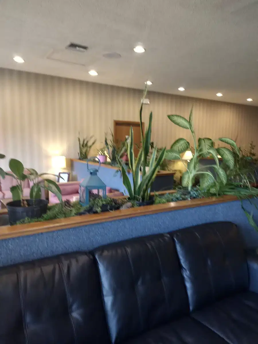 Sundown M Ranch - Thumbnail 7