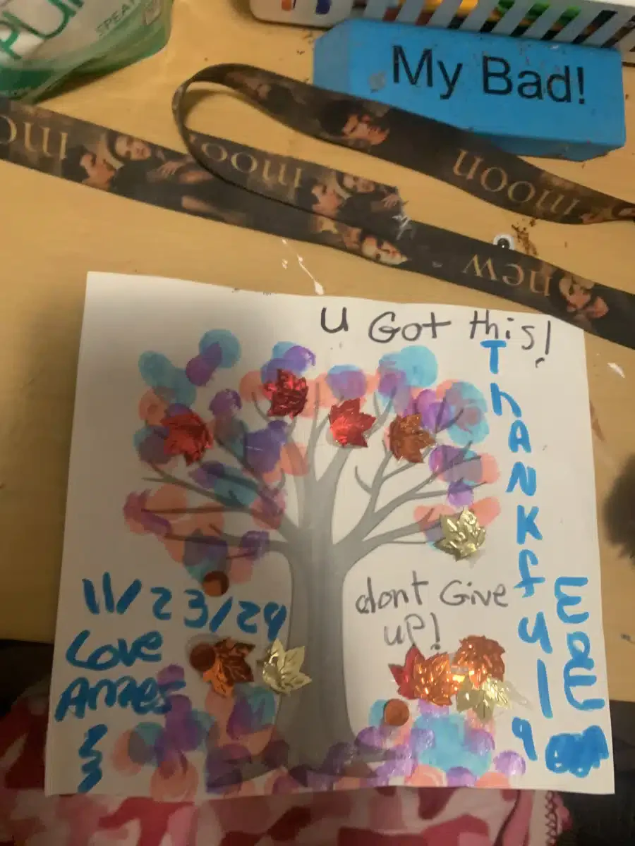 Sunrise Services Inc - Thumbnail 8