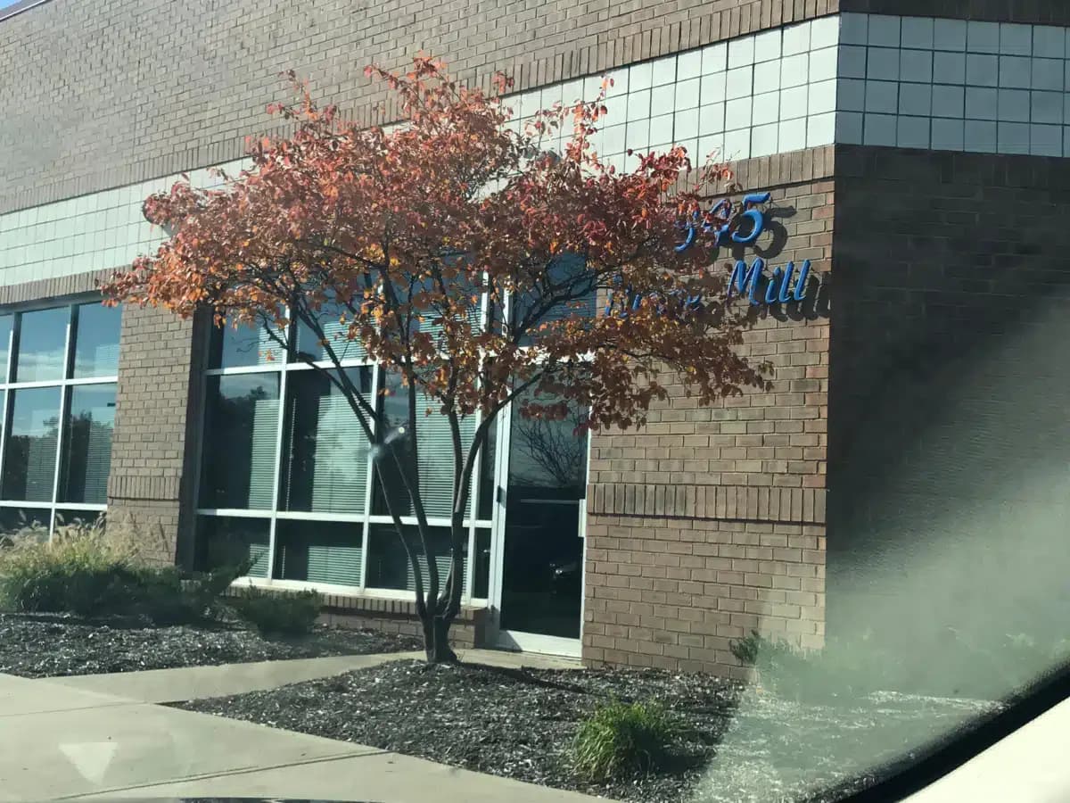 Syntero - Thumbnail 3