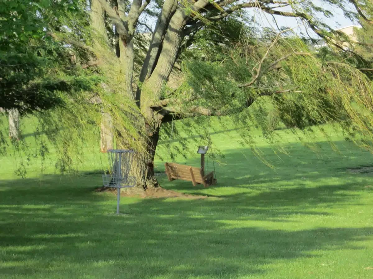 Tallgrass Recovery and - Thumbnail 10