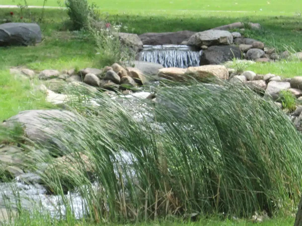 Tallgrass Recovery and - Thumbnail 7