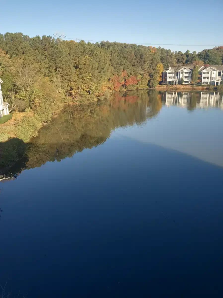 Tangu Recovery - Thumbnail 2