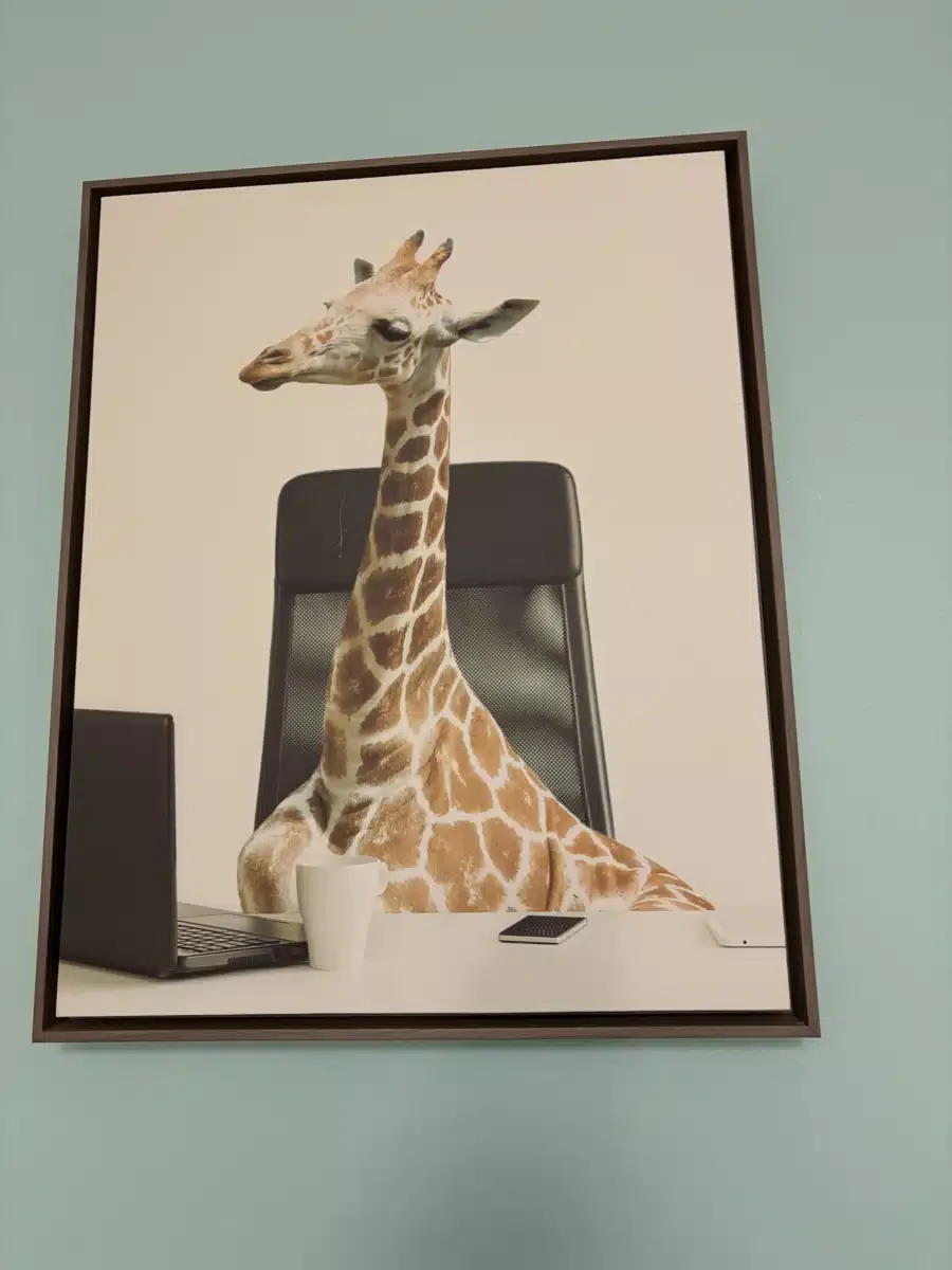 Tangu Recovery - Thumbnail 6