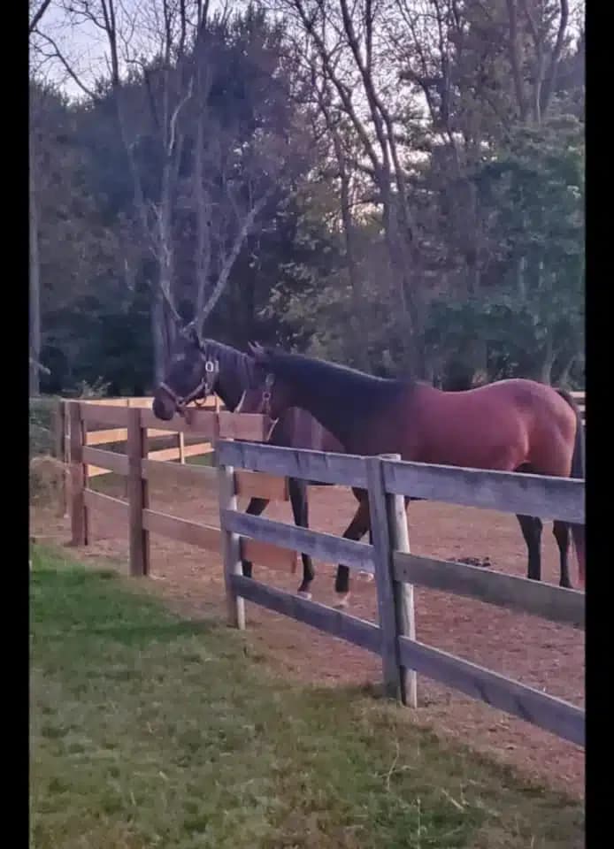 The Valley - Thumbnail 9