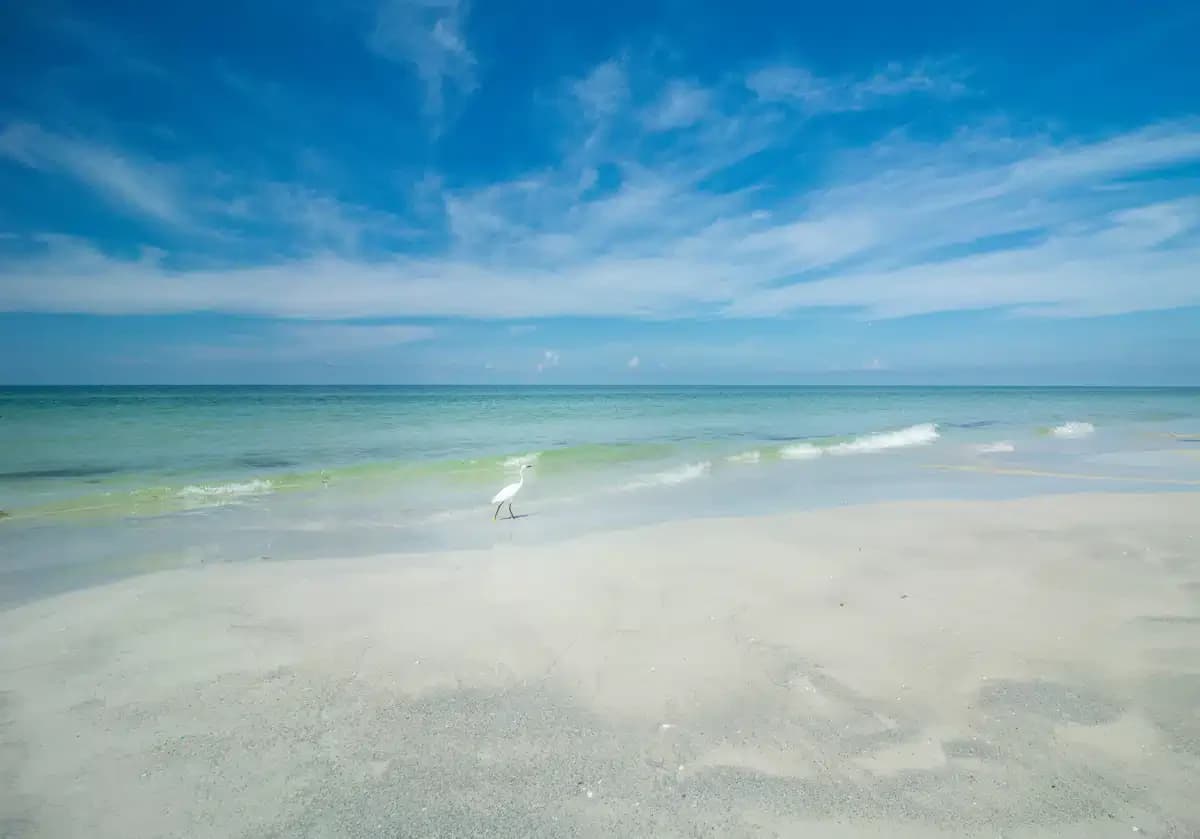 Tranquil Shores - Thumbnail 8