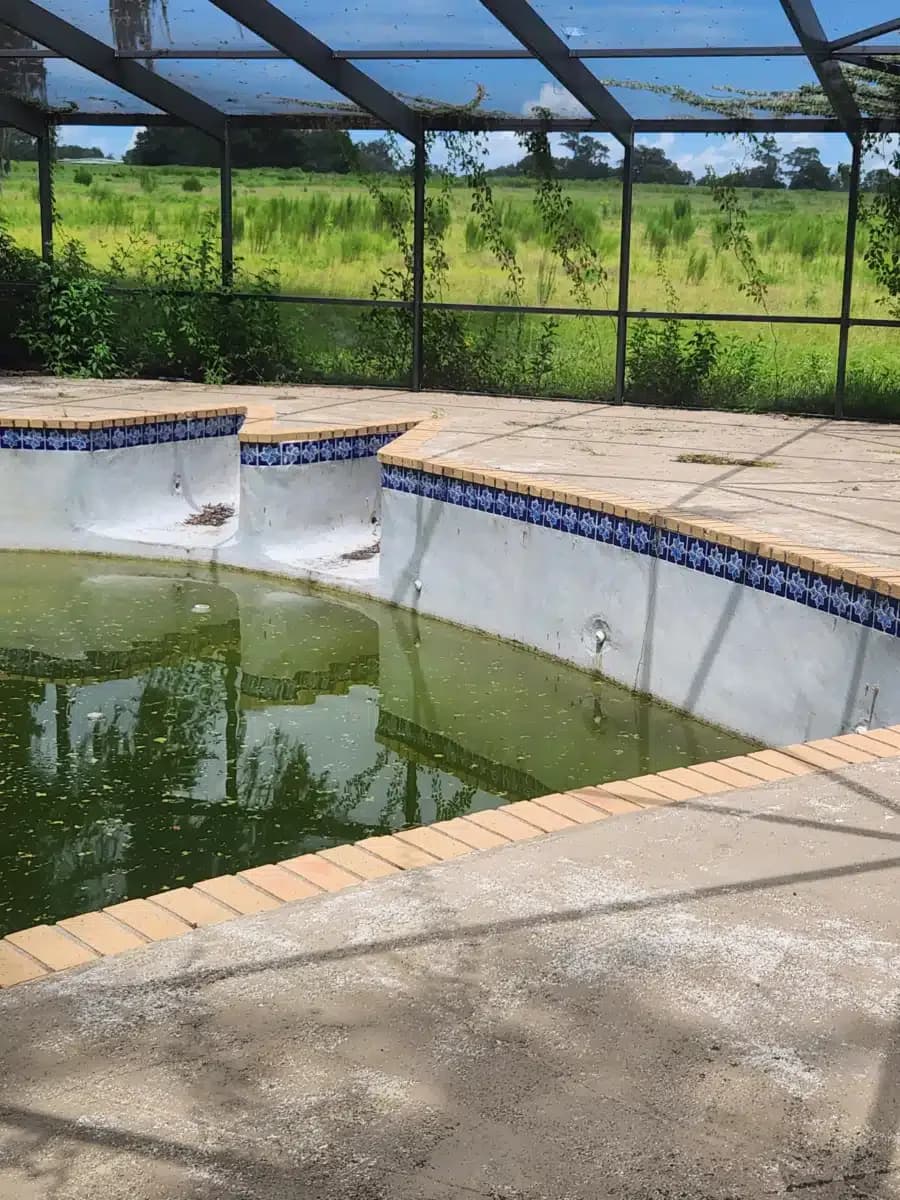 Transformations at Mending Fences LLC - Thumbnail 8