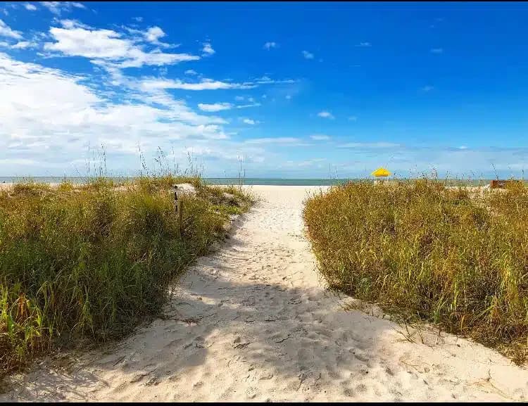 Transformations by the Gulf - Thumbnail 7