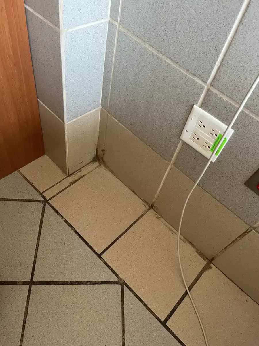 Tratamiento Ambulatorio Adultos