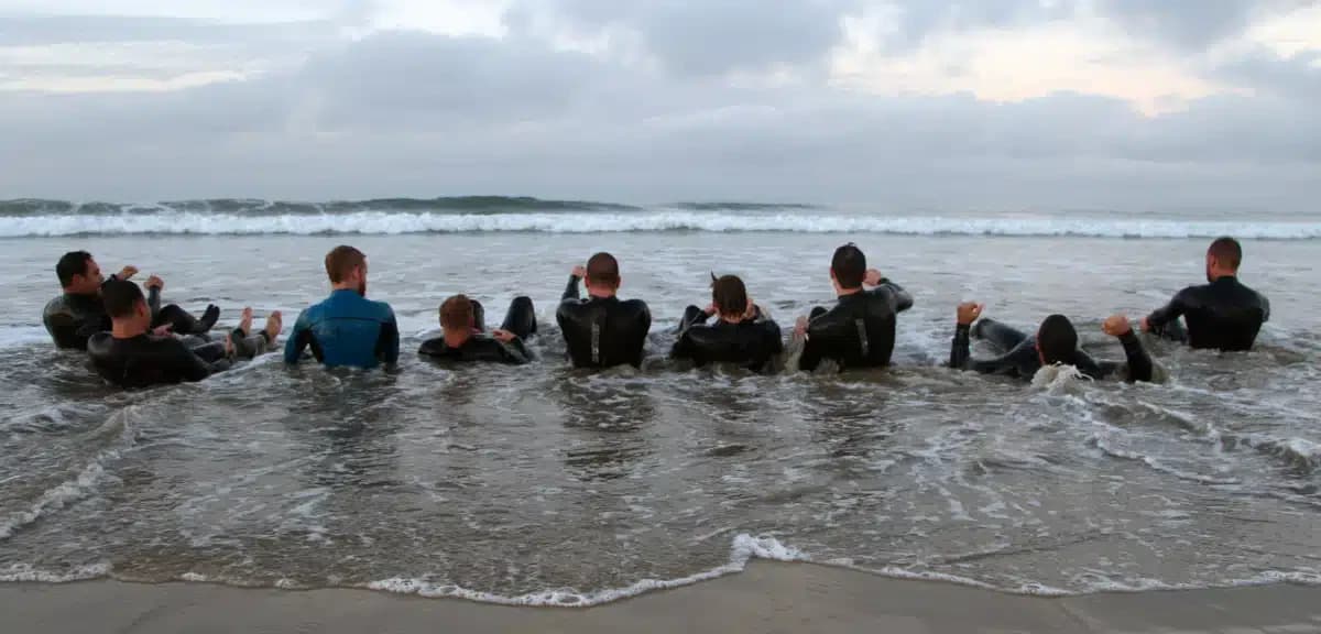 Tree House Recovery - Thumbnail 4