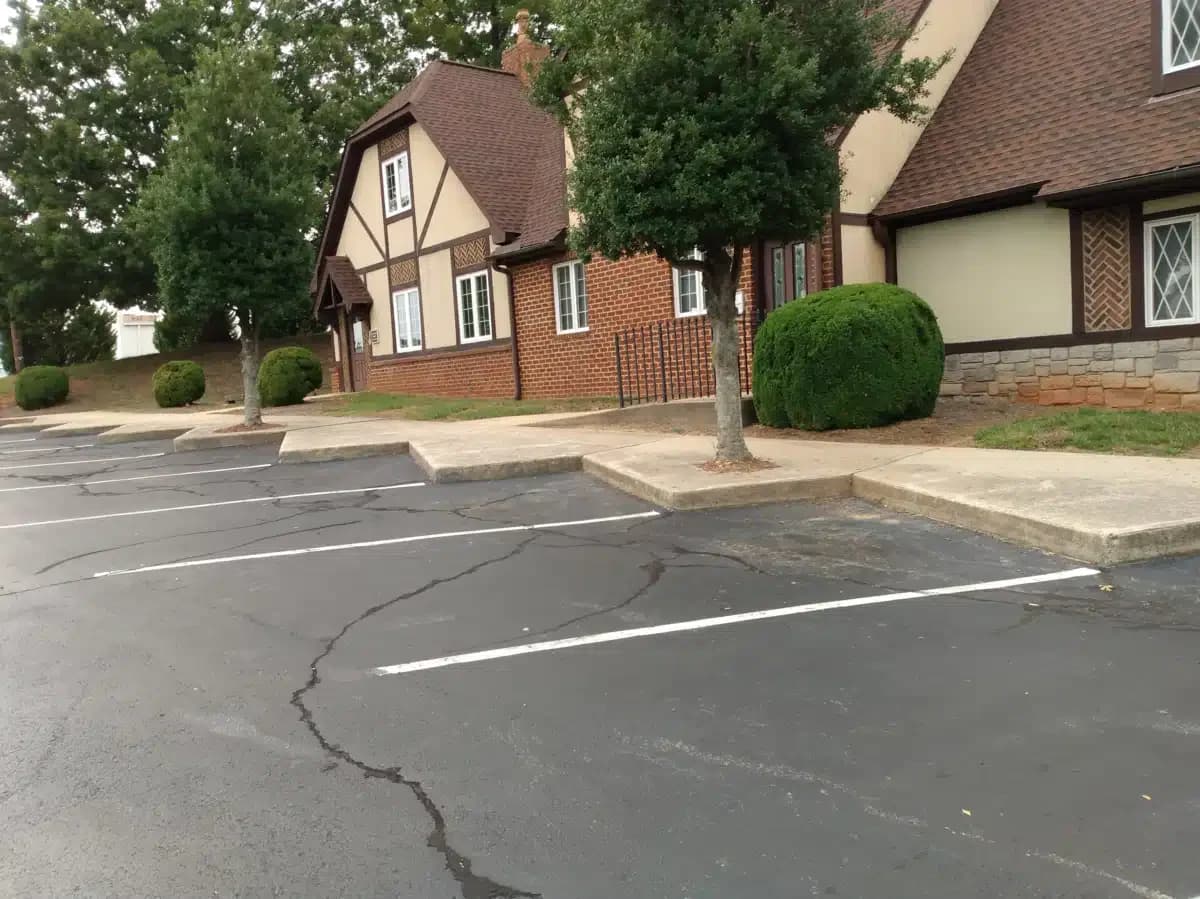 Triad Therapy - Thumbnail 4