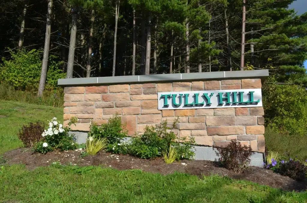 Tully Hill Corporation - Thumbnail 10