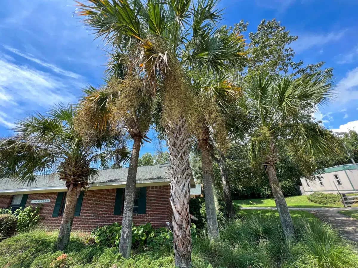 Twelve Oaks Recovery - Thumbnail 10