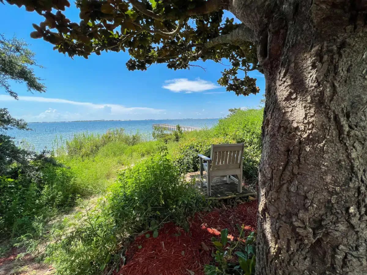 Twelve Oaks Recovery - Thumbnail 7