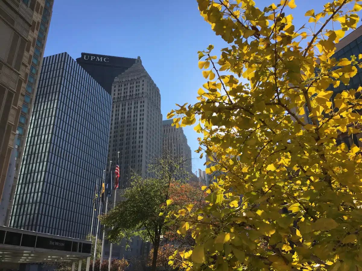 UPMC Mercy Hospital - Thumbnail 3