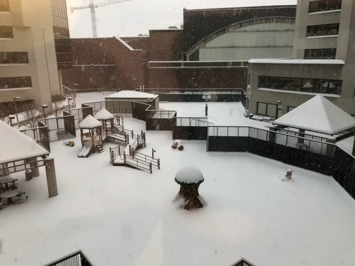 University of Iowa Healthcare - Thumbnail 9