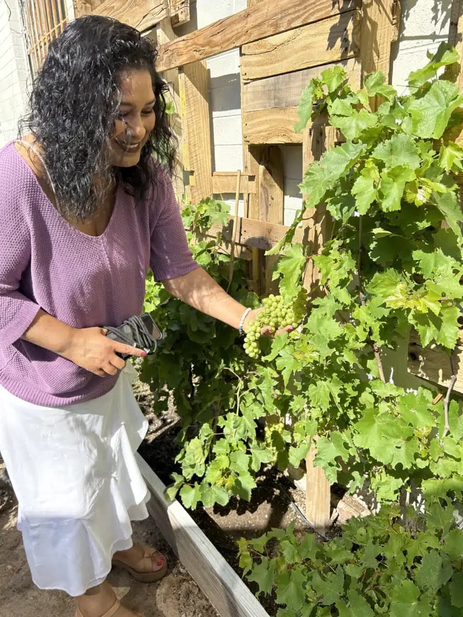 Vegas Stronger - Thumbnail 8