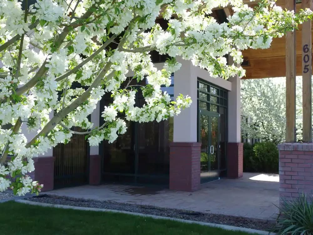 Walker Center - Thumbnail 4