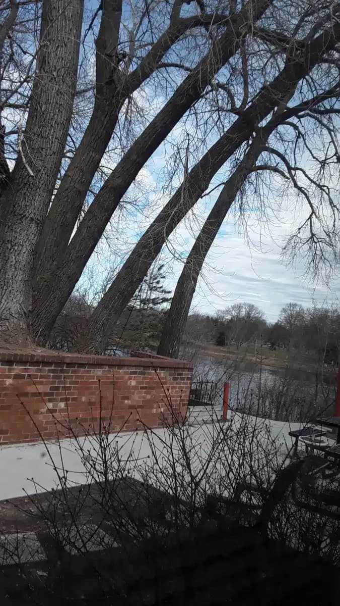 Wayside Recovery Center - Thumbnail 5