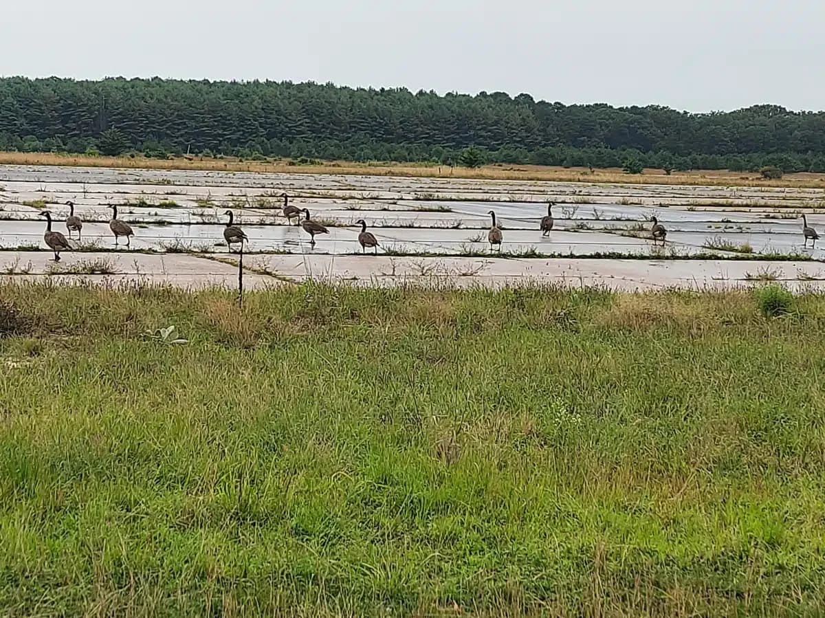 Wellbridge Rehabilitation Program - Thumbnail 9