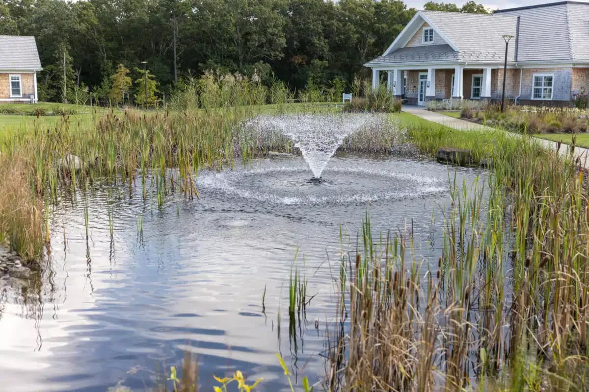 Wellbridge Stabilization Program - Thumbnail 6