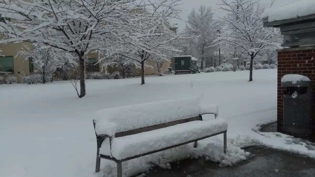 Wellness Center - Thumbnail 3