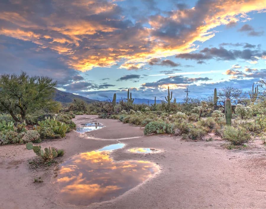 Westcare Arizona I Inc