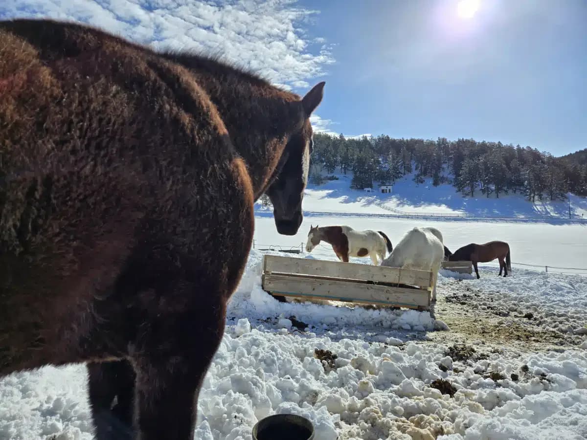 Whats Next Counseling - Thumbnail 6