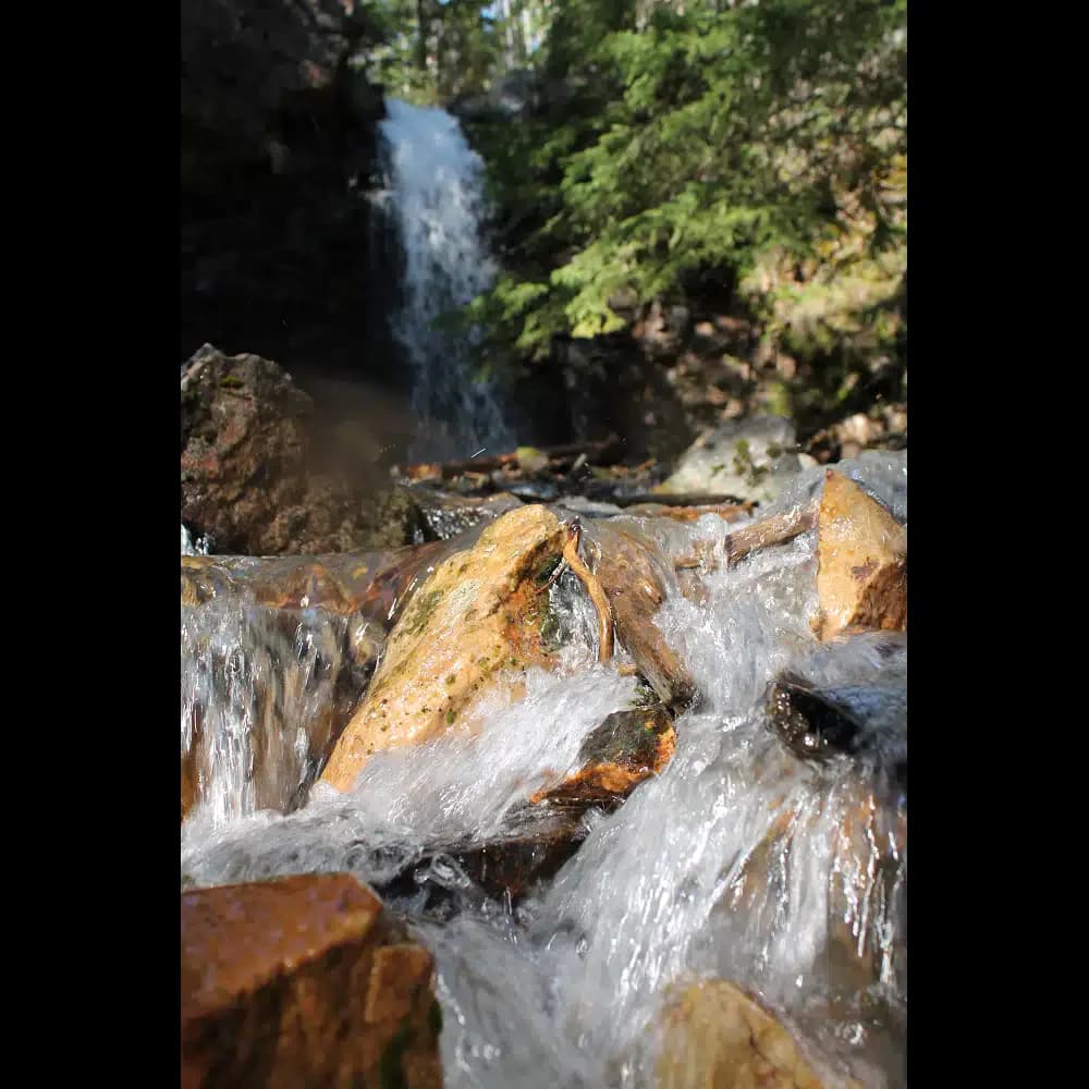 Whats Next Counseling - Thumbnail 7