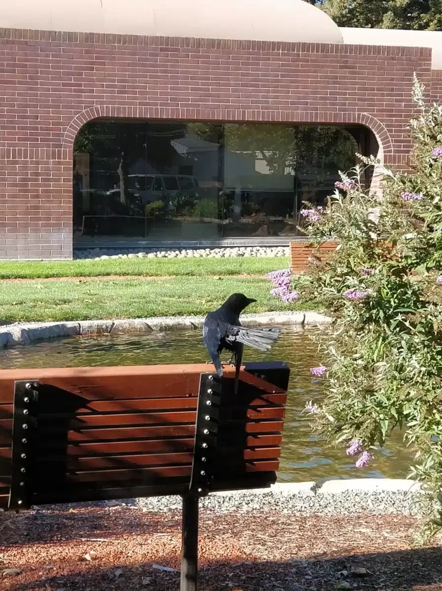 Womens Recovery Services - Thumbnail 6