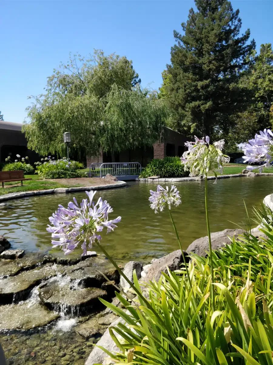 Womens Recovery Services - Thumbnail 9