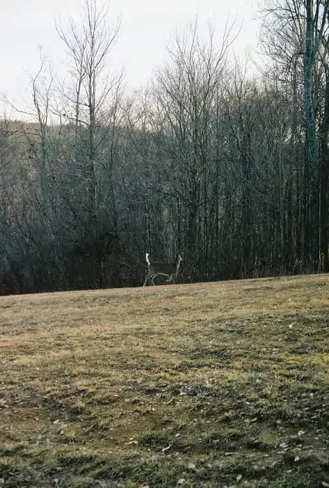 Wooded Glen Recovery Center - Thumbnail 10