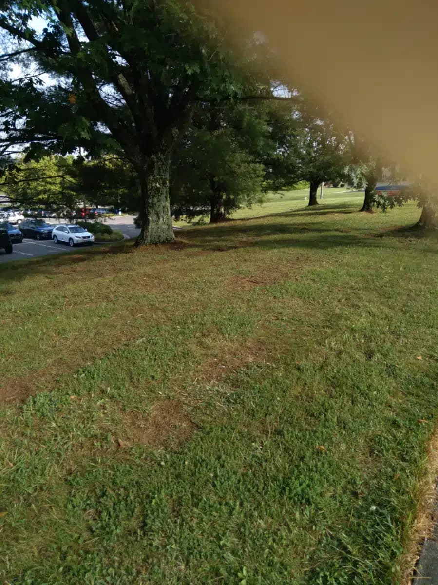 Woodridge Hospital - Thumbnail 5