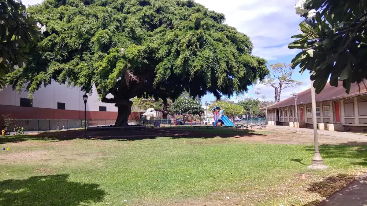 YMCA of Honolulu - Thumbnail 5