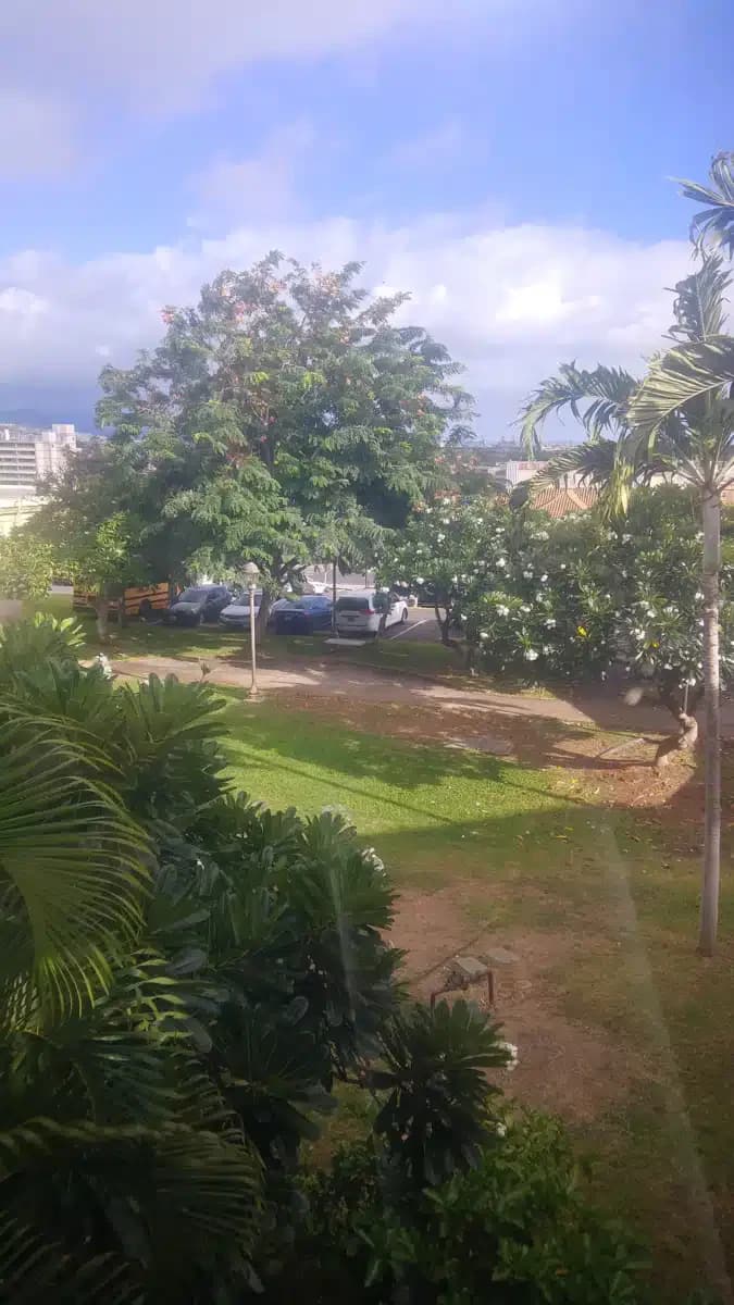 YMCA of Honolulu - Thumbnail 9