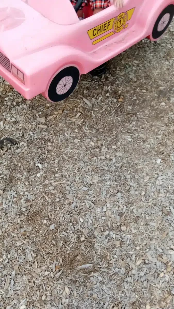 YWCA Northeast Indiana - Thumbnail 6